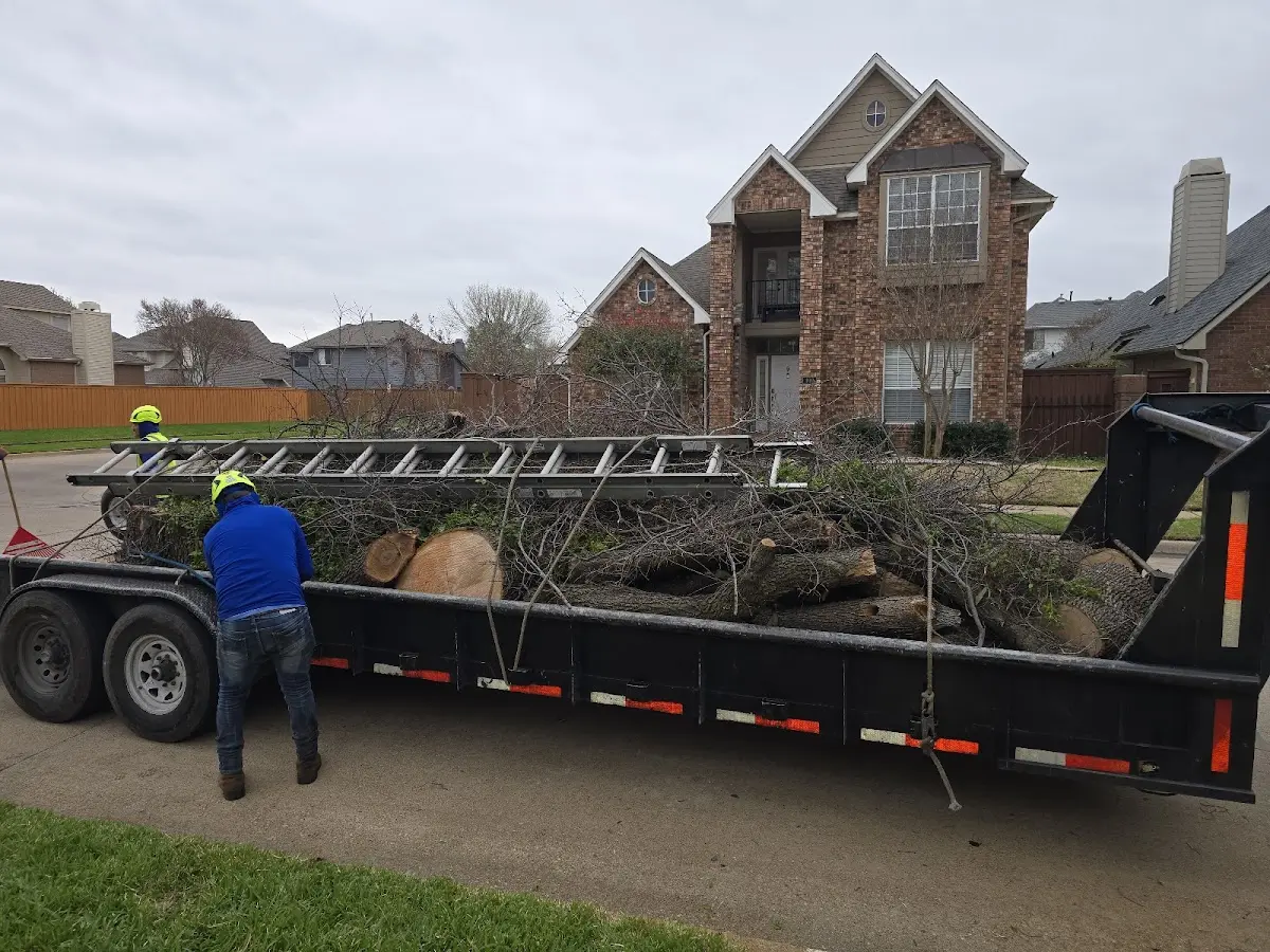 Expert Lot Clearing with proper safety equipment in Gatesville